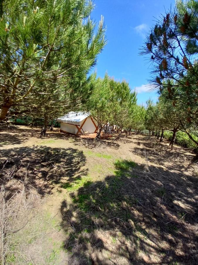 Luxury tent Kabaceira Glamping Atalaia (Lisbon)