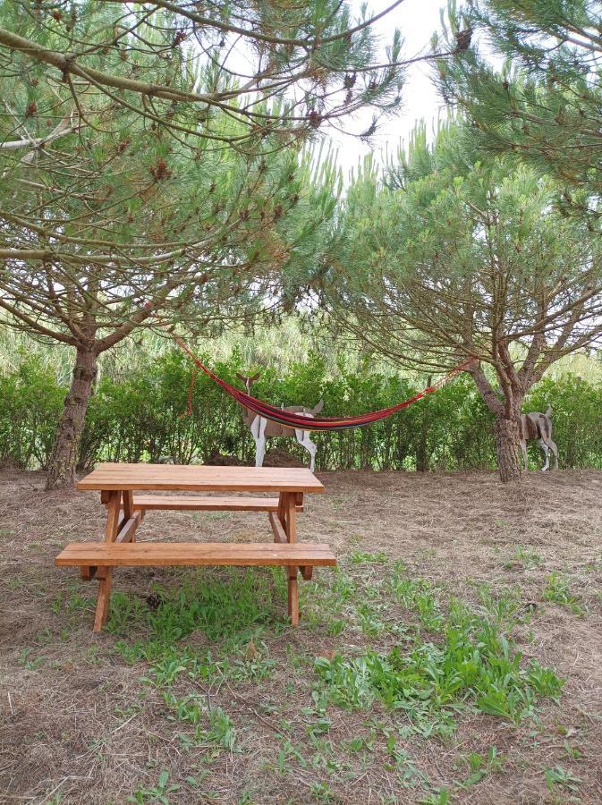 Kabaceira Glamping Atalaia (Lisbon)