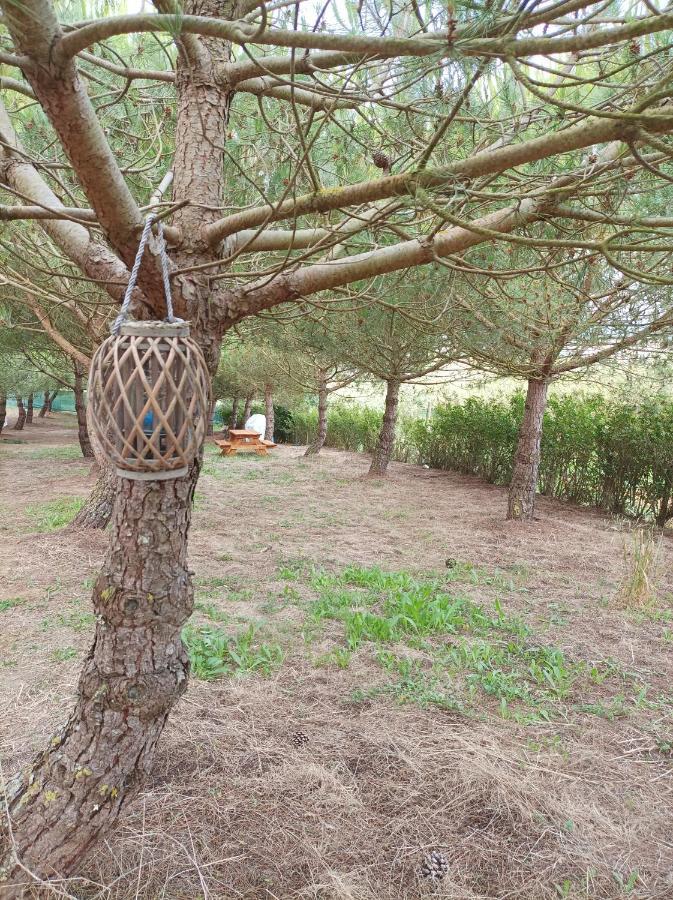 Luxury tent Kabaceira Glamping Atalaia (Lisbon)