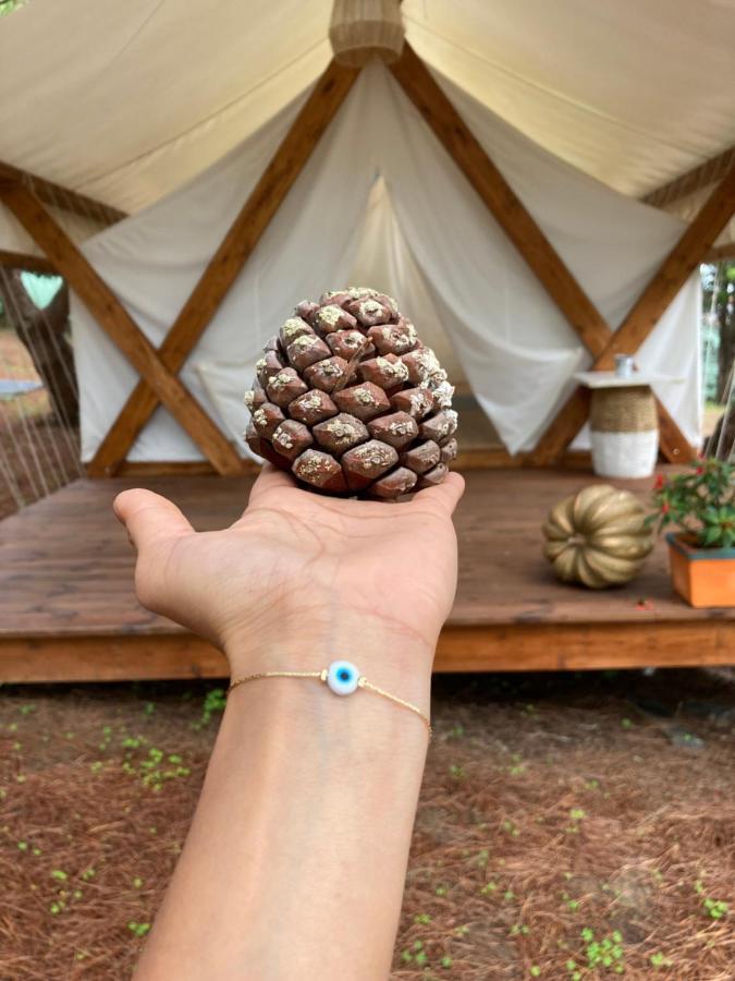 Kabaceira Glamping
