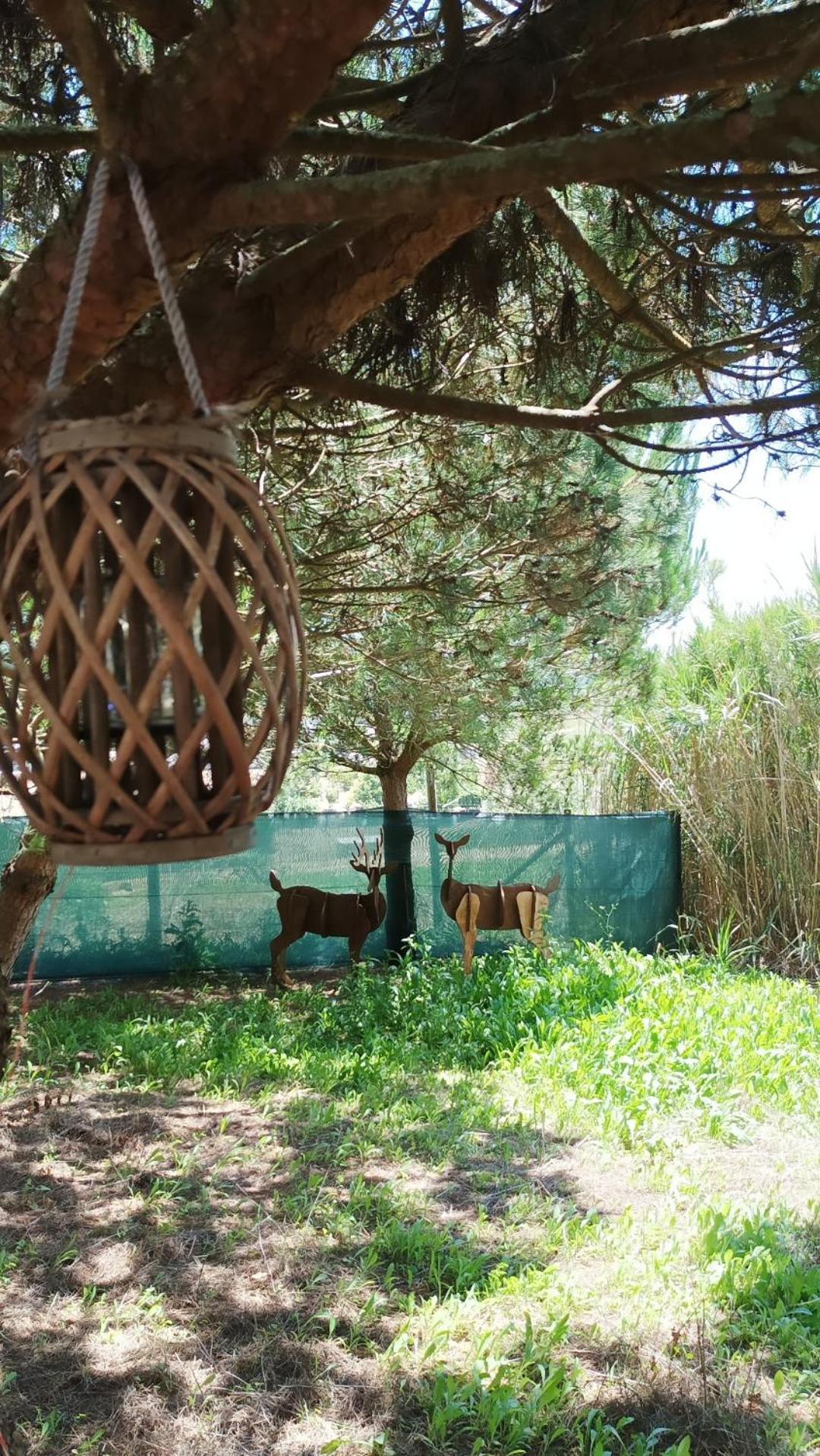 Kabaceira Glamping *